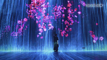 花与瀑布的沉浸式世界 花与瀑布的沉浸式世界