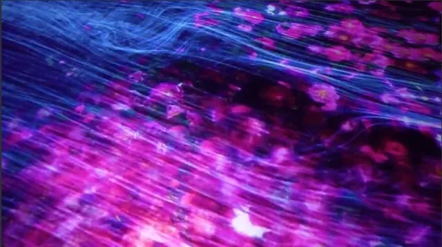 花与瀑布的沉浸式世界 花与瀑布的沉浸式世界