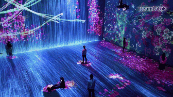 花与瀑布的沉浸式世界 花与瀑布的沉浸式世界