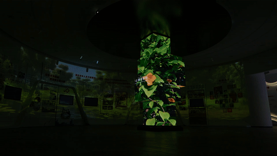 幸福主题香蕉视频免费下载APP-渭南富平幸福之路展示馆 幸福主题香蕉视频免费下载APP-渭南富平幸福之路展示馆